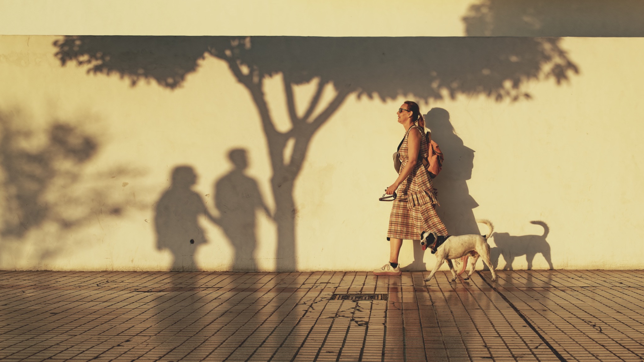 Spaziergängerin mit Hunden und langen Schatten im Abendlicht